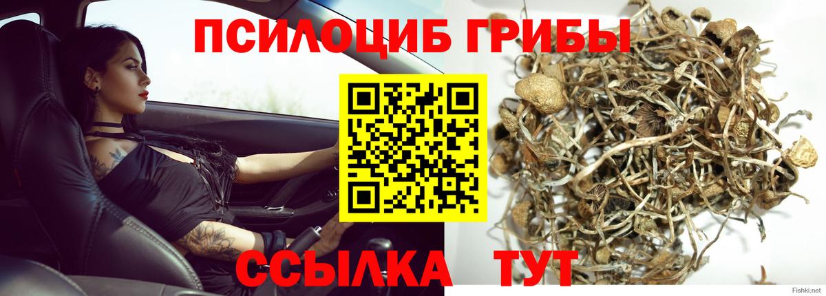Псилоцибиновые грибы мицелий  Вход с VPN  Шелехов 